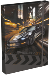box na sešity A4 Ford Shelby GT-H 21870810