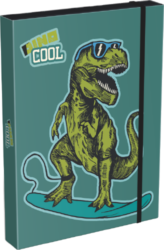 box na sešity A5 Dino Cool 22958999
