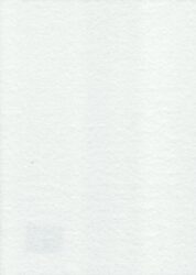 filc bílý YC-660 - ROZMR: cca 30 x 23 cm