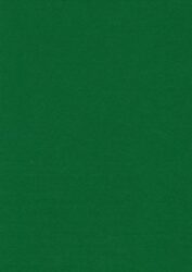filc zelený  YC-664 - ROZMR: cca 30 x 23 cm